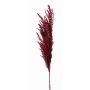 Ramo artificiale d'erba della pampa ERATO, rosso bordeaux, 100cm