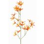 Tweedia solanoides artificiale PALLAS, arancione, 70cm, Ø5cm