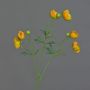 Ranuncolo finto YARIS, giallo-arancione, 65cm, Ø3-4,5cm