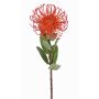 Protea artificiale BAILY, arancione, 50cm, Ø12cm