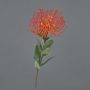 Protea artificiale BAILY, arancione, 50cm, Ø12cm