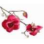 Magnolia artificiale KOSTAS, fucsia, 55cm, Ø6-8cm