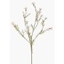Fiordaliso artificiale ZENOBIOS, crema, 80cm