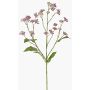 Fiore artificiale di eupatorium KORALIA, viola, 80cm, Ø4-7cm