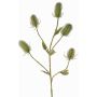 Cardo artificiale KASTANIA, verde, 90cm