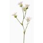 Garofano giapponese artificiale KASTALIA, crema, 65cm, Ø4-5cm