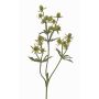 Cardo artificiale KALYPSO, verde, 65cm, Ø3-4cm