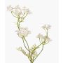 Carota selvatica artificiale KALOMIRA, bianco, 85cm, Ø6-10cm