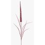 Pennisetum artificiale ZARIEL con glitter, bordeaux, 105cm