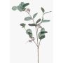 Ramo di eucalipto finto MAXEN con frutti, verde-grigio, 75cm