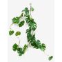 Ghirlanda finta di filodendro Monstera Deliciosa MATAS, 110m