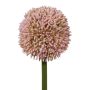 Fiore decorativo allium MENKES, rosa, 65 cm