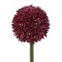 Fiore decorativo Allium MENKES, rosso bordeaux, 65 cm