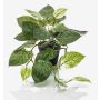 Pothos d'argento artificiale TREVA, verde-bianco, 55cm