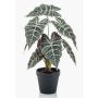 Alocasia Sanderiana artificiale UTHER, verde-bianco, 40cm