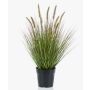 Erba di pennisetum artificiale YWAIN con pannocchie, beige-verde, 60cm