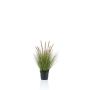 Erba di pennisetum artificiale YWAIN con pannocchie, beige-verde, 60cm