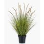 Erba di pennisetum artificiale YWAIN con pannocchie, beige-verde, 85cm