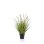 Erba di pennisetum artificiale YWAIN con pannocchie, beige-verde, 85cm