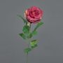 Rosa artificiale PEZOS, bordeaux, 60cm, Ø10cm