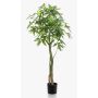 Pachira artificiale HARUKI, tronchi artificiali, 150cm