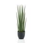 Sansevieria Cylindrica artificiale KICHIRO in vaso decorativo, verde, 70cm