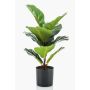Ficus Lyrata artificiale EMILIANA, verde, 55cm