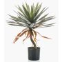 Yucca artificiale KOUKI, 75cm