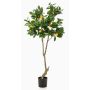 Albero di limone artificiale MAKOTO, tronco artificiale, con frutti, 150cm