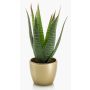 Aloe Variegata artificiale MARTINEZ, vaso in ceramica dorato, verde, 25cm, Ø17cm