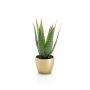 Aloe Variegata artificiale MARTINEZ, vaso in ceramica dorato, verde, 25cm, Ø17cm