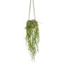 Cestino di ficus pumila artificiale AMADOR, vaso in ceramica dorato, verde, 100cm