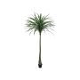 Dracaena Reflexa artificiale TABIVO, tronco artificiale, verde, 220cm