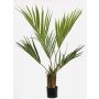 Palma Kentia artificiale PAIGE, 105cm