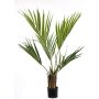 Palma Kentia artificiale PAIGE, 105cm