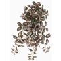 Tradescantia Zebrina artificiale KALANI, su stelo, difficilmente infiammabile, verde-bianco, 55cm