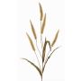 Pennisetum artificiale HIWA, pannocchie, verde, 135cm