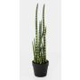 Sansevieria Cylindrica artificiale AIDANA, verde-giallo, 65cm