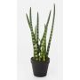 Sansevieria Cylindrica artificiale AIDANA, verde-giallo, 40cm