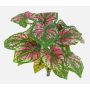 Caladium artificiale BECRUX su stelo, verde-rosa, 35cm
