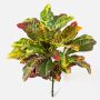 Croton artificiale TAAVI su stelo, multicolore, 55cm