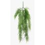 Asparagus Plumosus artificiale ALRISCHA, 75cm