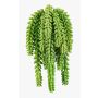 Sedum morganianum artificiale DIPHDA su stelo, difficilmente infiammabile, verde, 30cm