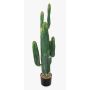 Cactus a colonna decorativo ELKURUD, verde-rosso, 115cm