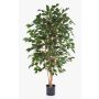 Ficus Benjamina artificiale THIAGO, tronchi naturali, difficilmente infiammabile, verde, 150cm