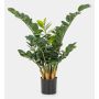 Zamioculcas Zamiifolia artificiale AKONO, 65cm