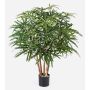 Aralia artificiale MAKASIM, tronchi veri, verde, 85cm