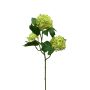 Viburnum finto NEDIA, verde, 45cm