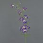 Delphinium artificiale NARUMI, viola, 90cm