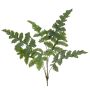 Phlebodium aureum artificiale EYMEN su stelo, verde, 65cm